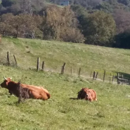 La Casita De La Cruz Ferienhaus